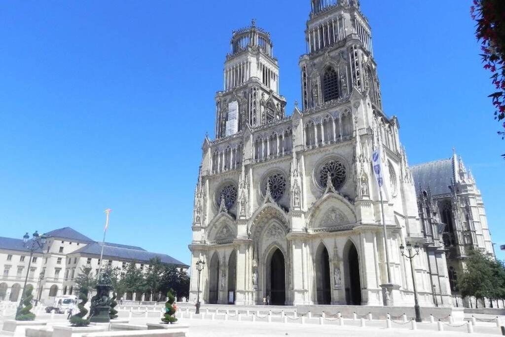 Apartamento L'Authentique - Le Poirier Orléans Exterior foto